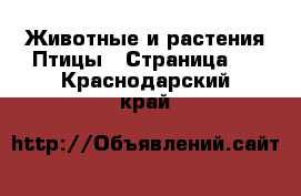 Животные и растения Птицы - Страница 2 . Краснодарский край